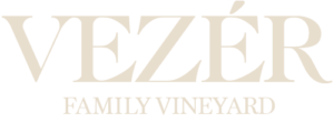 VEZER_welcome_logo